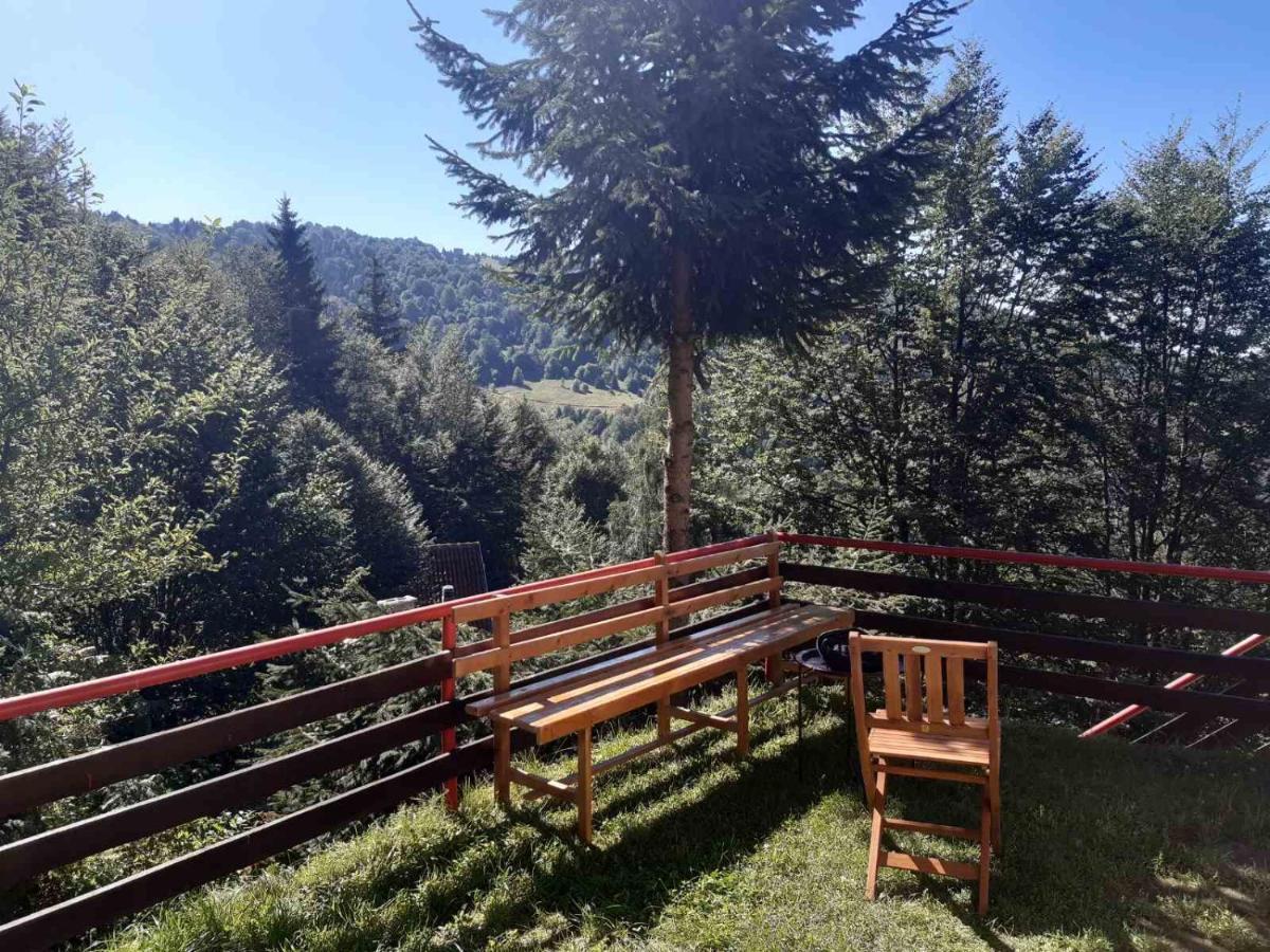 Holiday House Nesovic Kopaonik Ngoại thất bức ảnh