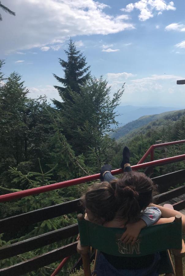 Holiday House Nesovic Kopaonik Ngoại thất bức ảnh