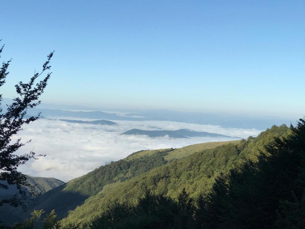Holiday House Nesovic Kopaonik Ngoại thất bức ảnh