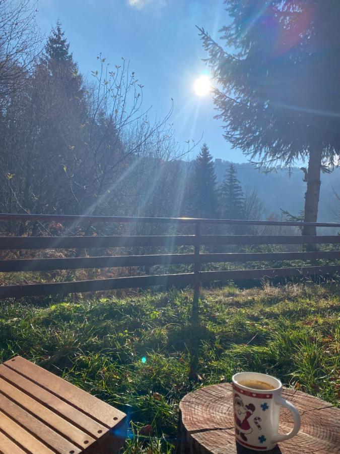 Holiday House Nesovic Kopaonik Ngoại thất bức ảnh