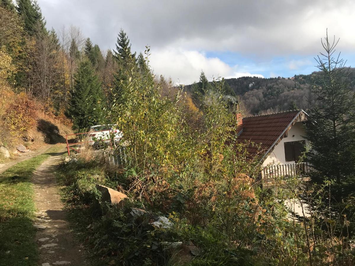 Holiday House Nesovic Kopaonik Ngoại thất bức ảnh