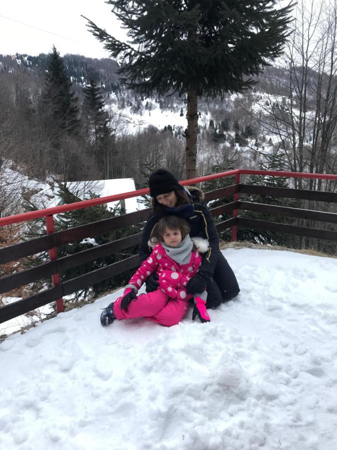 Holiday House Nesovic Kopaonik Ngoại thất bức ảnh