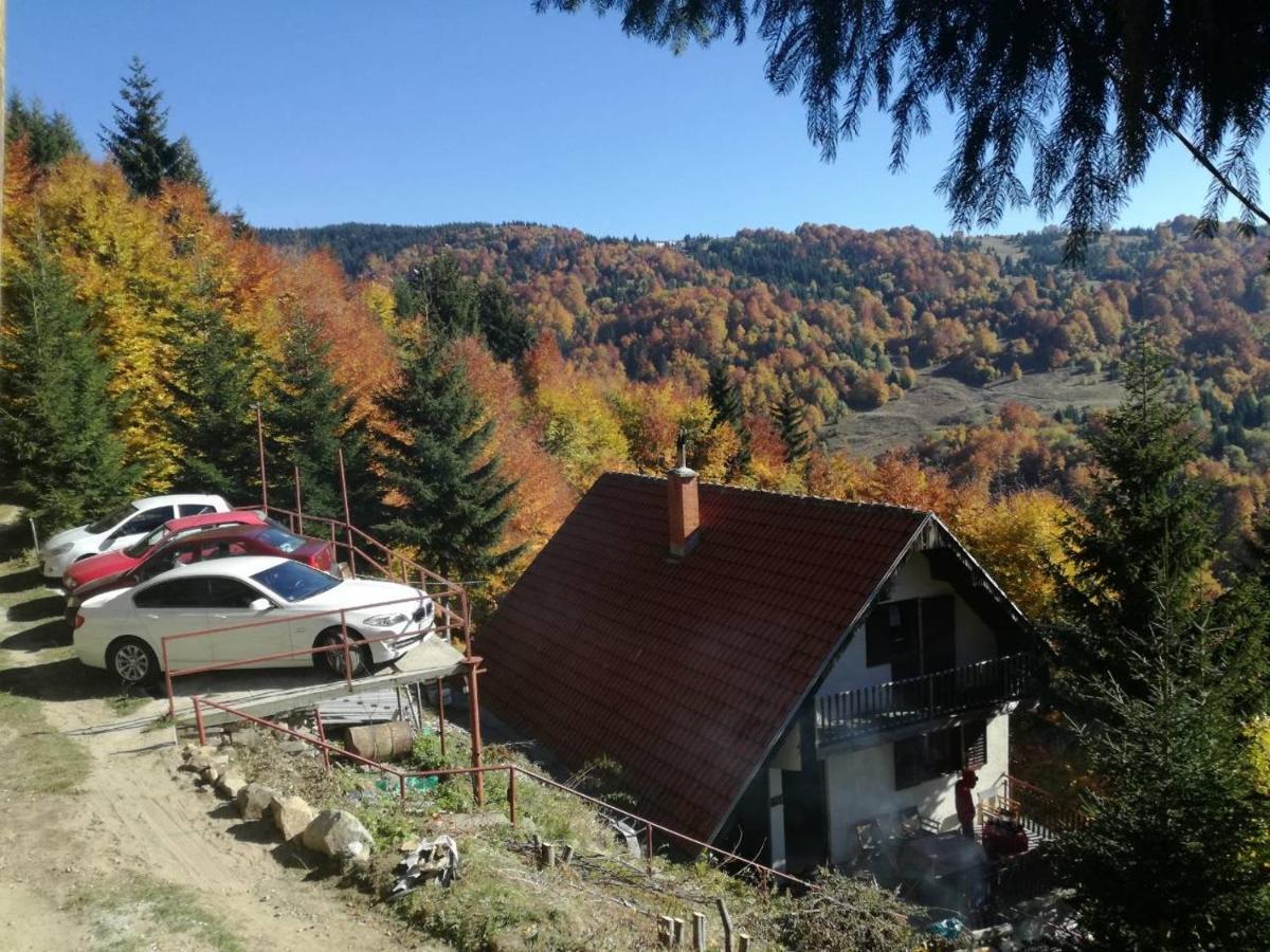 Holiday House Nesovic Kopaonik Ngoại thất bức ảnh