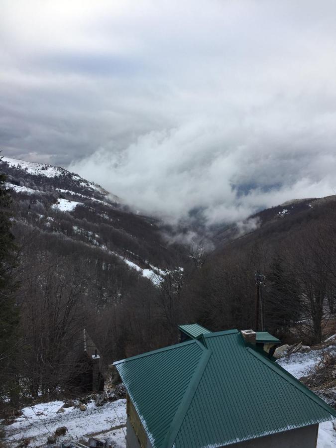 Holiday House Nesovic Kopaonik Ngoại thất bức ảnh