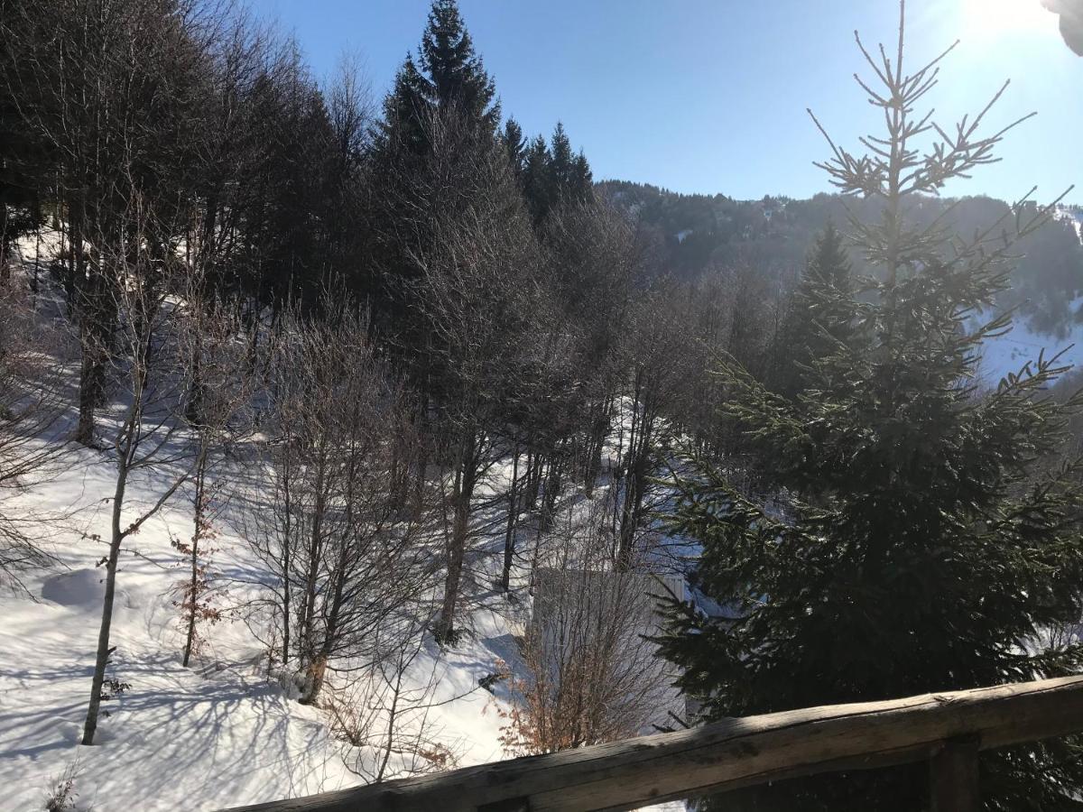 Holiday House Nesovic Kopaonik Ngoại thất bức ảnh