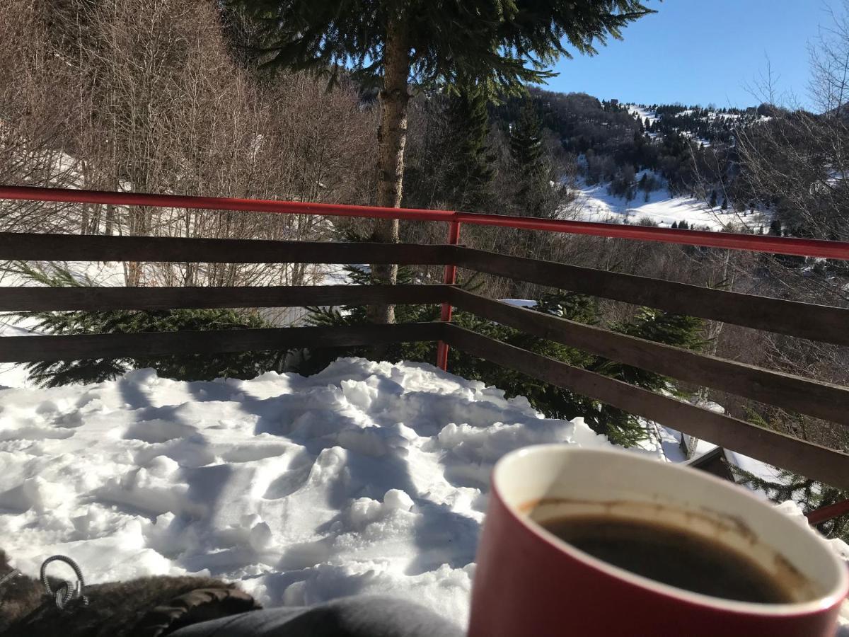 Holiday House Nesovic Kopaonik Ngoại thất bức ảnh