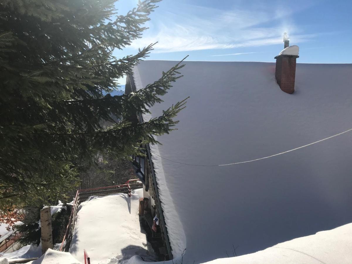 Holiday House Nesovic Kopaonik Ngoại thất bức ảnh