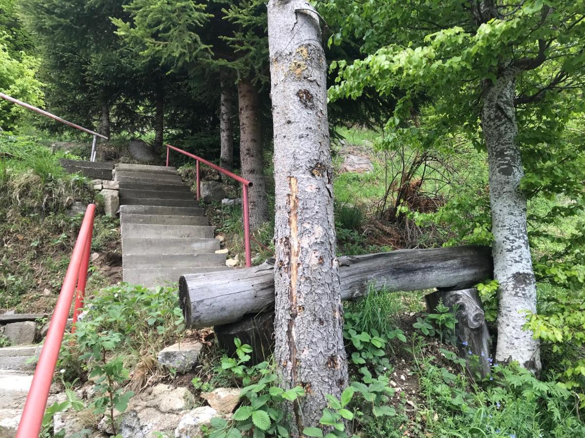 Holiday House Nesovic Kopaonik Ngoại thất bức ảnh