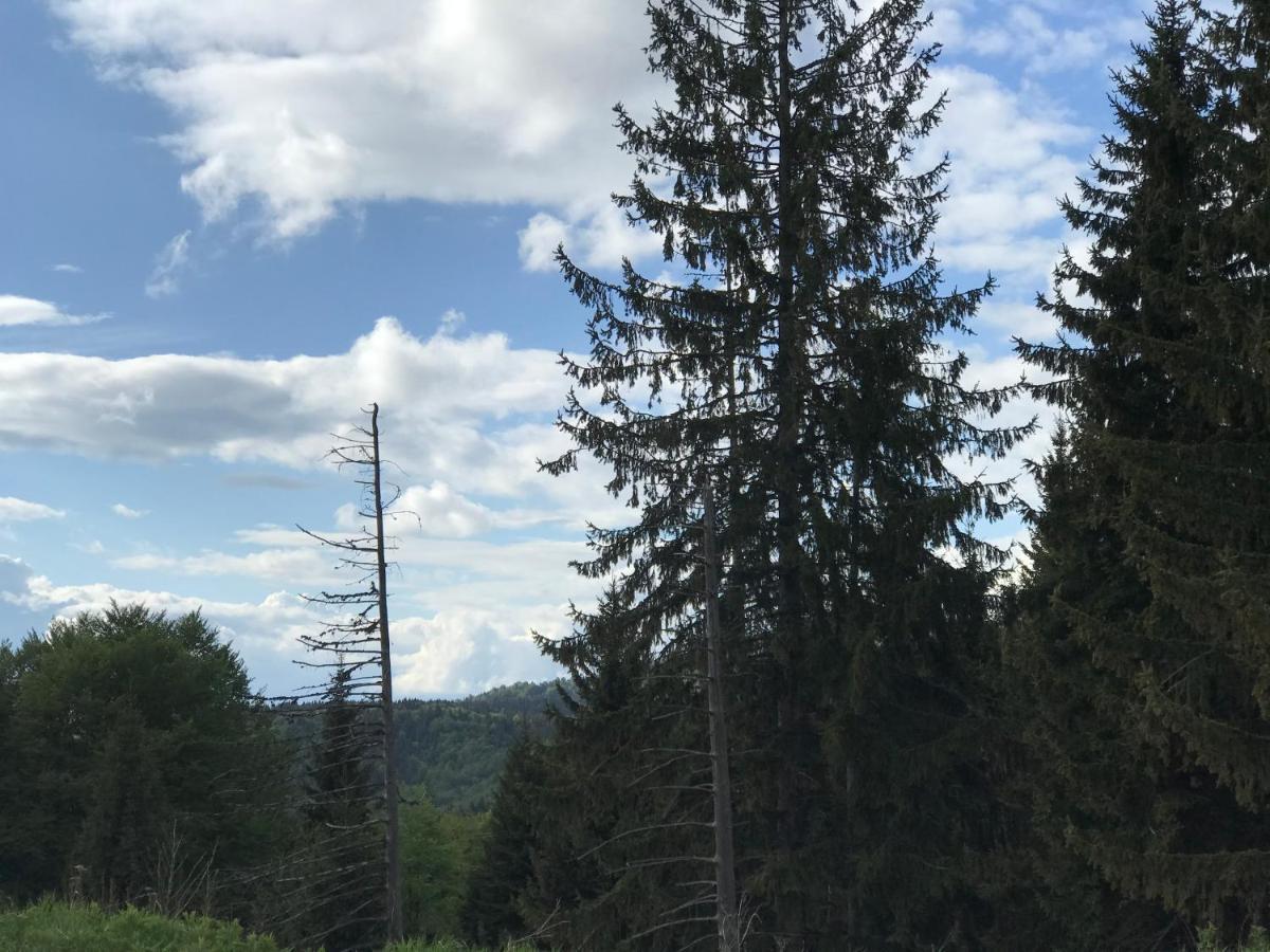 Holiday House Nesovic Kopaonik Ngoại thất bức ảnh