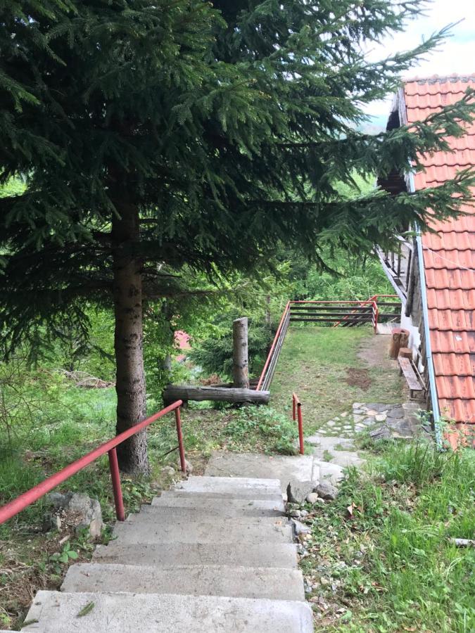 Holiday House Nesovic Kopaonik Ngoại thất bức ảnh