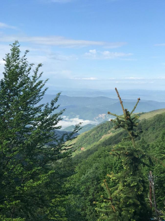 Holiday House Nesovic Kopaonik Ngoại thất bức ảnh