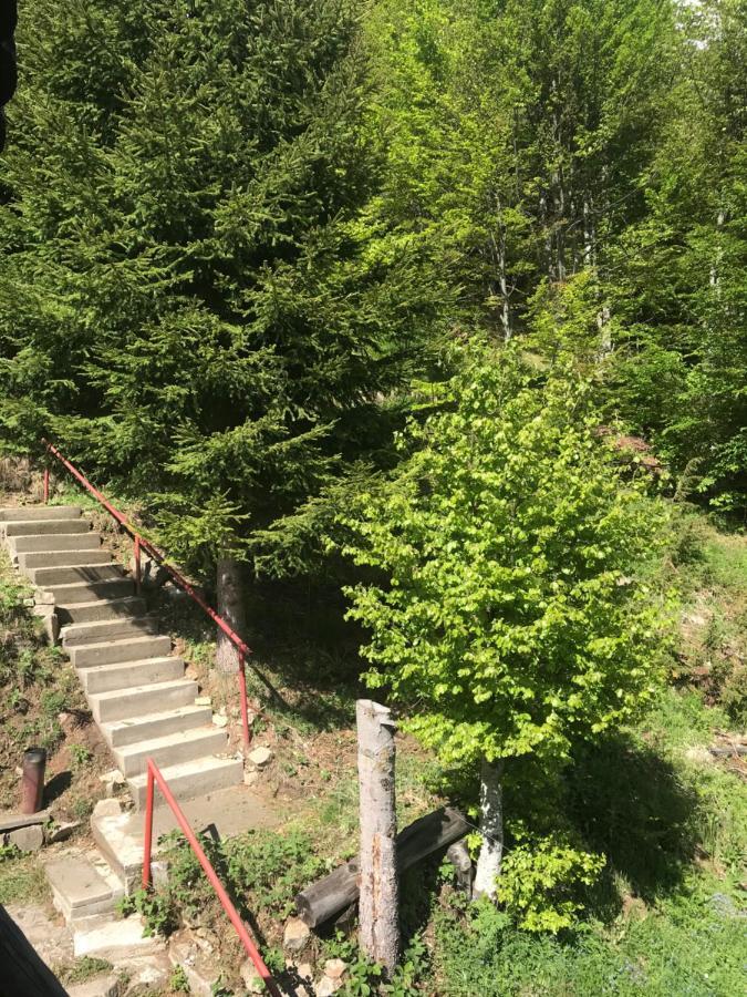 Holiday House Nesovic Kopaonik Ngoại thất bức ảnh