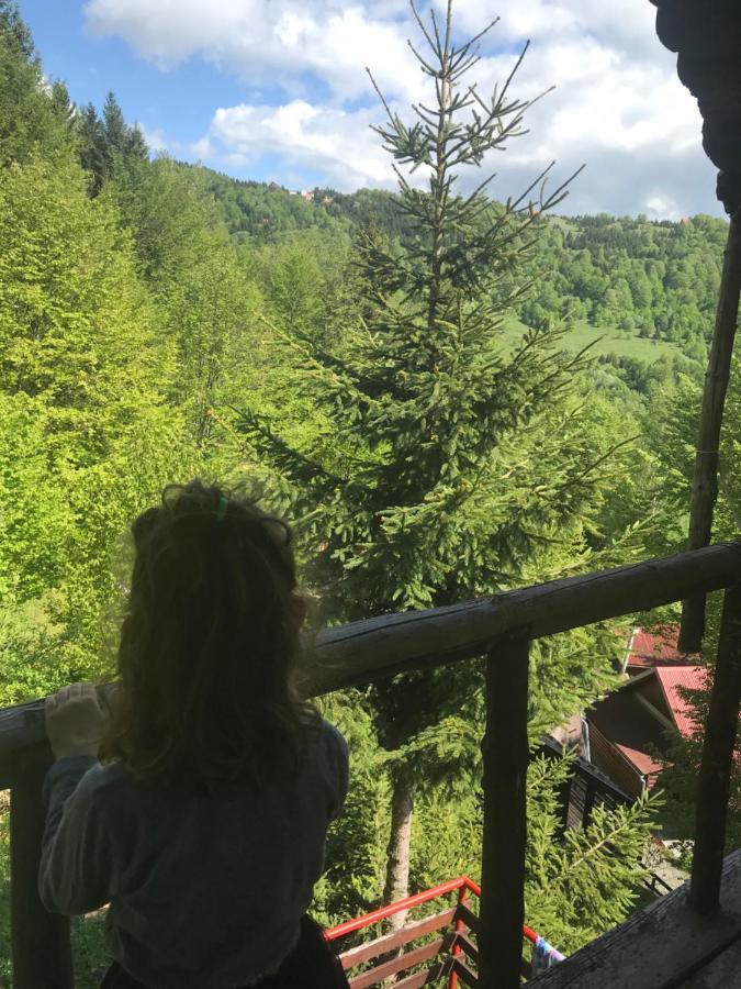 Holiday House Nesovic Kopaonik Ngoại thất bức ảnh